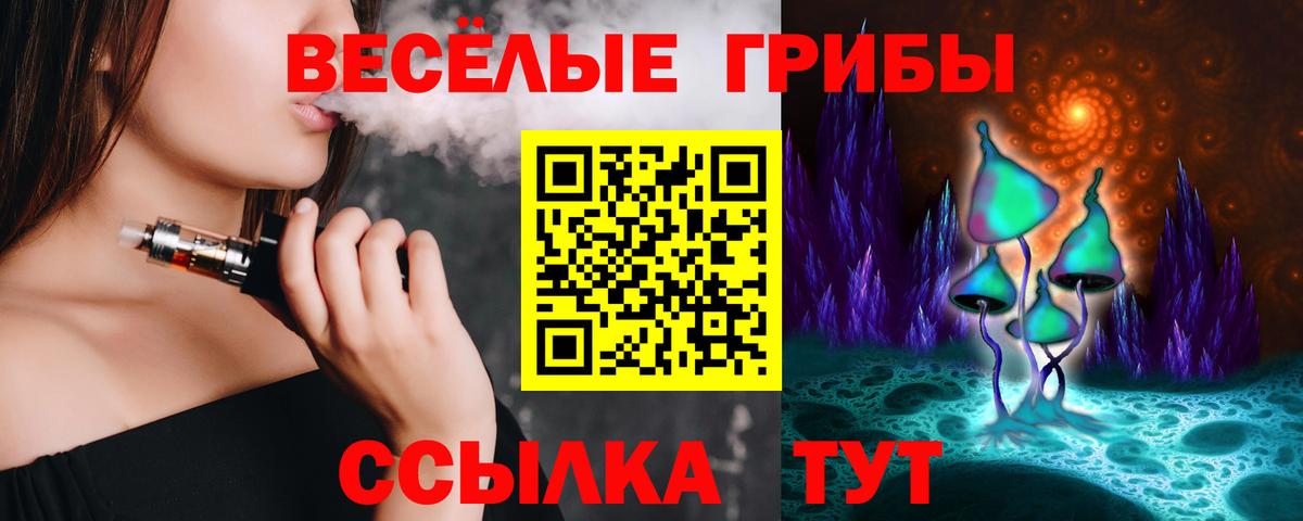 Псилоцибиновые грибы GOLDEN TEACHER Холмск
