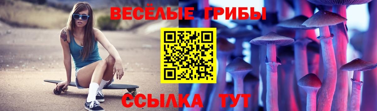 Холмск  Псилоцибиновые грибы GOLDEN TEACHER  Псилоцибиновые грибы ЛСД  Вход с VPN 
